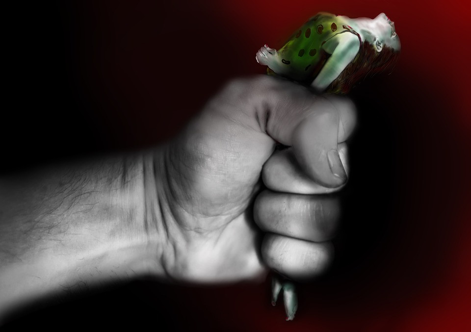 הודיה על המין באמריקה